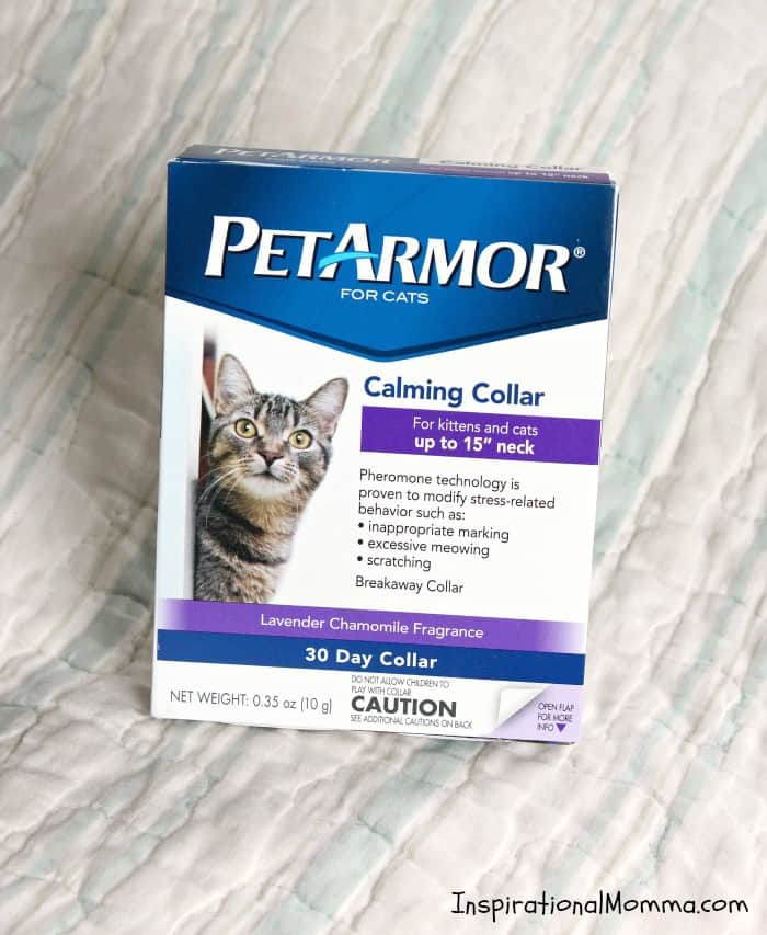Do you have a crazy cat? The Crazy Cat Collar is the answer you have been searching for!