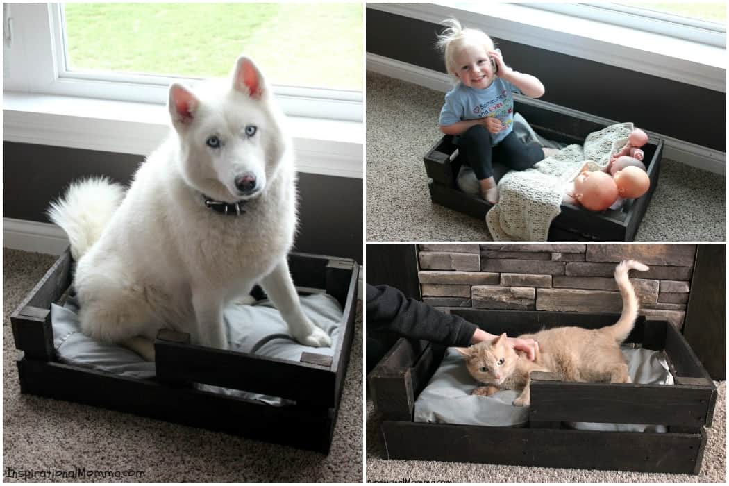 Spoil your fur-baby and create this DIY Pallet Cat Bed today! It is both simple and inexpensive. #YouGottaBeKittenMe