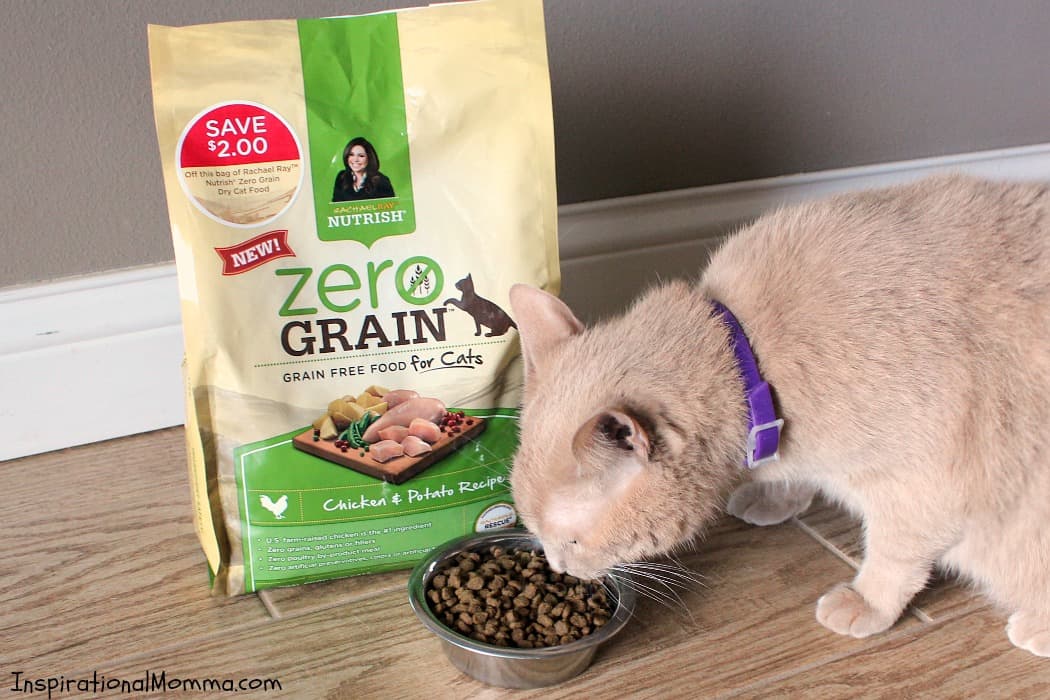This easy-to-make and inexpensive DIY Pet Hammock is the perfect place for your fur-baby to relax. #NutrishCatCrafts #CollectiveBias