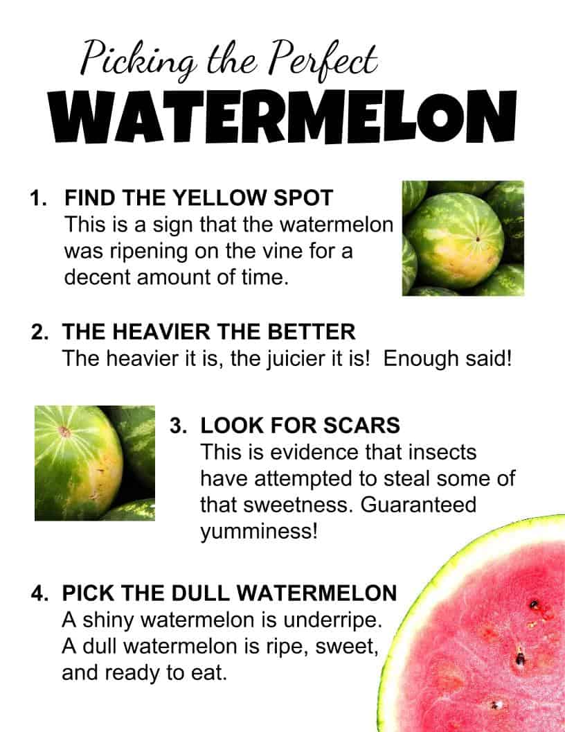This Watermelon Shark will be the talk at your next party! Sweet and delicious, it is the perfect summertime snack and so easy to create!