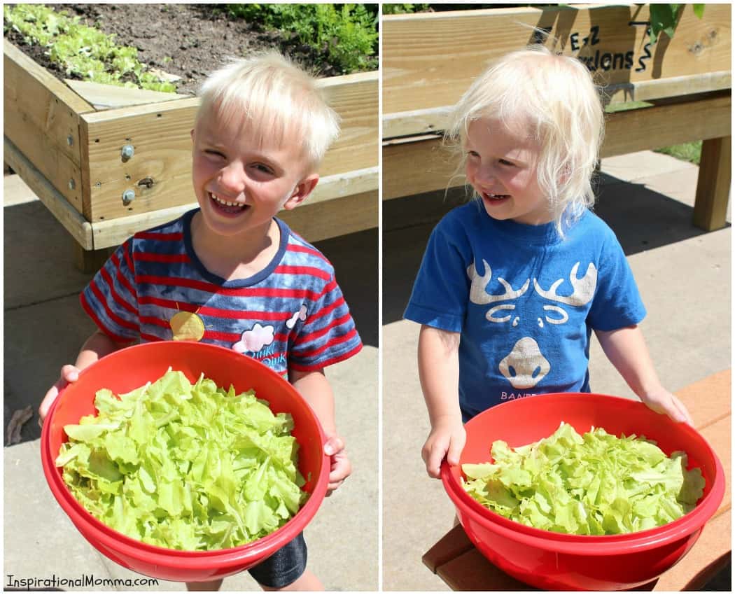 This Fresh and Sweet Garden Salad has a perfect combination of ingredients! Crisp lettuce, bacon, and onions smothered in a creamy, sweet sauce!