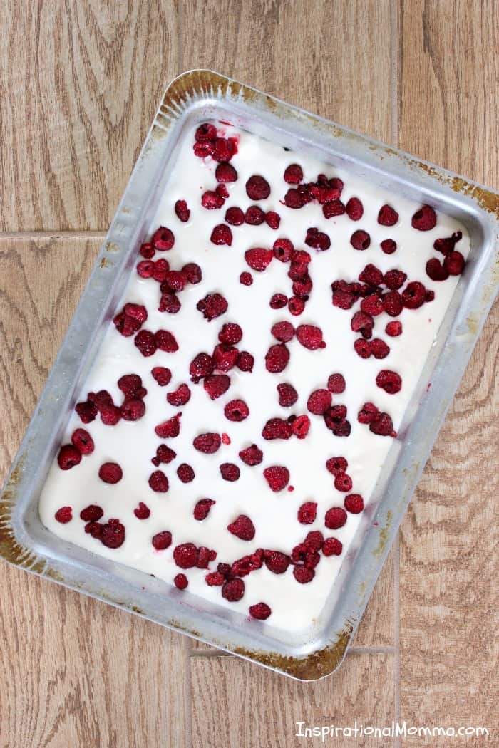 Frozen Raspberry Yogurt Bites are a cool, sweet treat that are easy to make and absolutely delicious! Made with 5 healthy ingredients, it will quickly become a favorite!