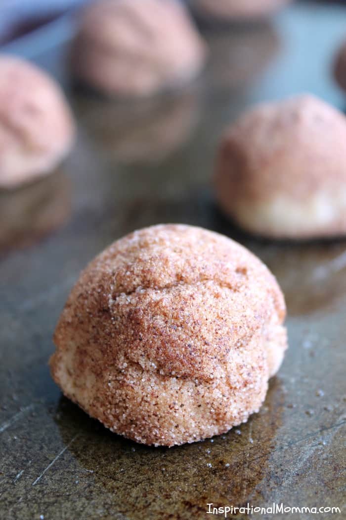 Soft & Sensational Snickerdoodles are perfectly chewy and delicious! Covered in cinnamon and sugar, these cookies are simply magical!