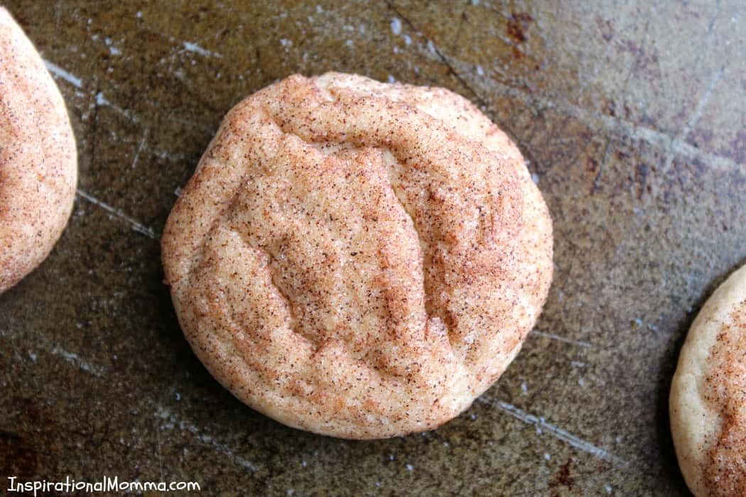 Soft & Sensational Snickerdoodles are perfectly chewy and delicious! Covered in cinnamon and sugar, these cookies are simply magical!