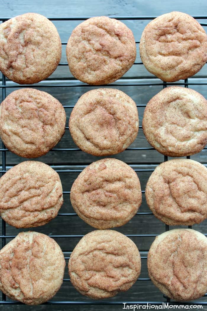 Soft & Sensational Snickerdoodles are perfectly chewy and delicious! Covered in cinnamon and sugar, these cookies are simply magical!