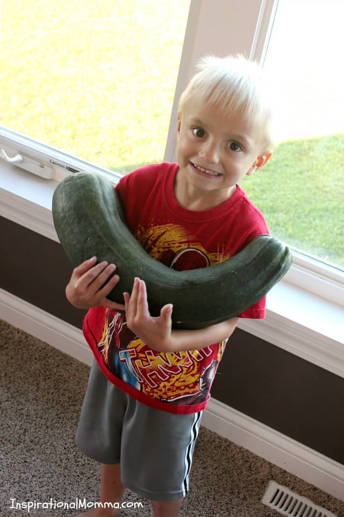 This Homemade Zucchini Bread is a family recipe that has been passed down for generations! Sweet, moist, and delicious, it will quickly become your favorite!