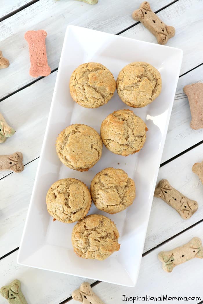 Celebration Peanut Butter Banana Pupcakes are the perfect way to show your four-legged friend just how special they are. Filled with dog-safe ingredients, they are a delicious sweet treat! #inspirationalmomma #pupcakes #birthday #treat #dog #puppy #pup #canine #cupcakes #celebration #peanutbutter #banana #dogtreat #homemade