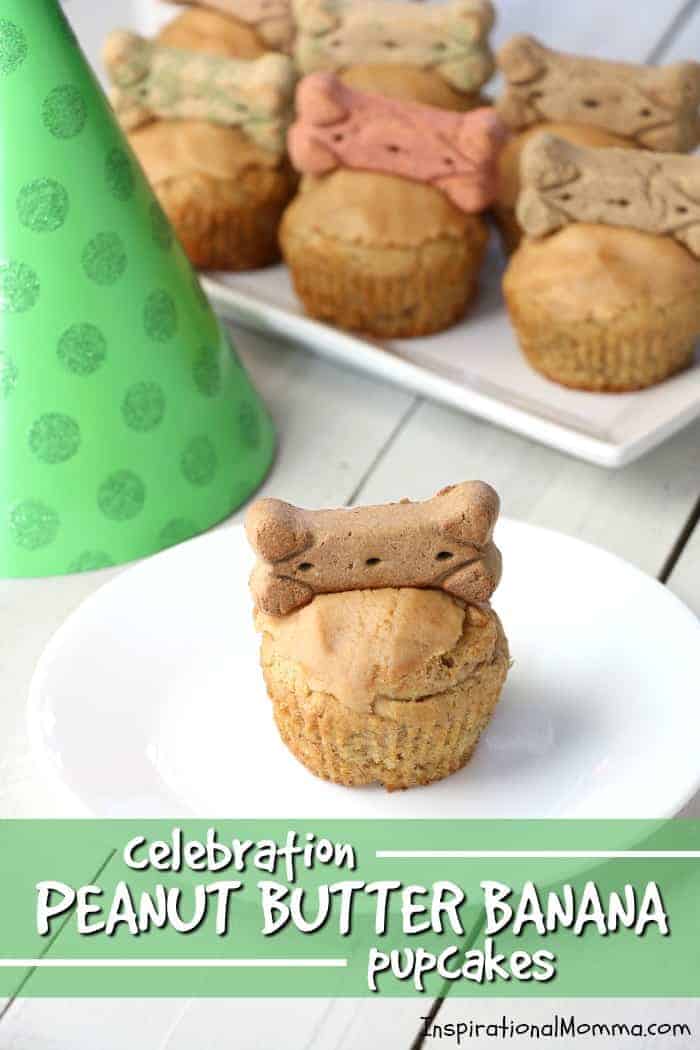 Celebration Peanut Butter Banana Pupcakes are the perfect way to show your four-legged friend just how special they are. Filled with dog-safe ingredients, they are a delicious sweet treat! #inspirationalmomma #pupcakes #birthday #treat #dog #puppy #pup #canine #cupcakes #celebration #peanutbutter #banana #dogtreat #homemade