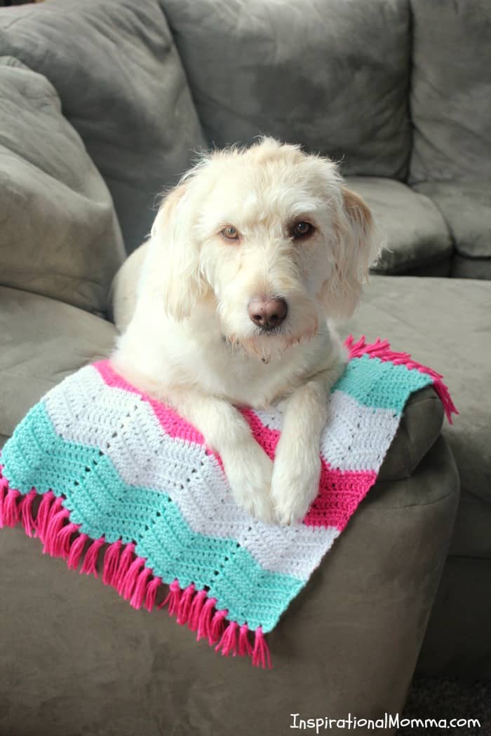 This Sweet Chevron Crochet Baby Blanket Free Pattern will help you create a perfect gift for someone special. Using simple crochet stitches, this pattern is great for beginning crocheters! #InspirationalMomma #CrochetBabyBlanket #BabyBlanket #Crochet #Blanket #FreePattern #Pattern #Handmade #Homemade #DIY