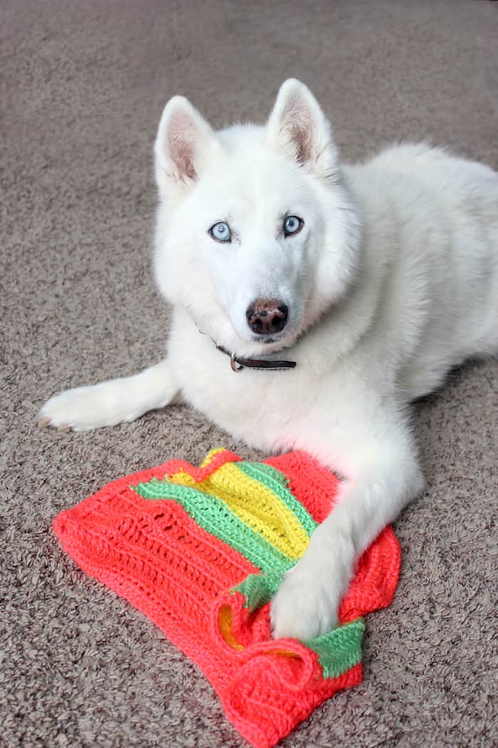 This Varied Double Crochet Triple Crochet Blanket is a perfect project for any crocheter. The stitches are simple and the colors are fun and vibrant! #InspirationalMomma #doublecrochet #triplecrochet #crochet #crochetpattern #freepattern