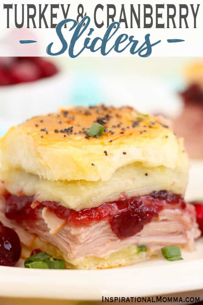 Closeup shot of turkey cranberry slider on plate. 