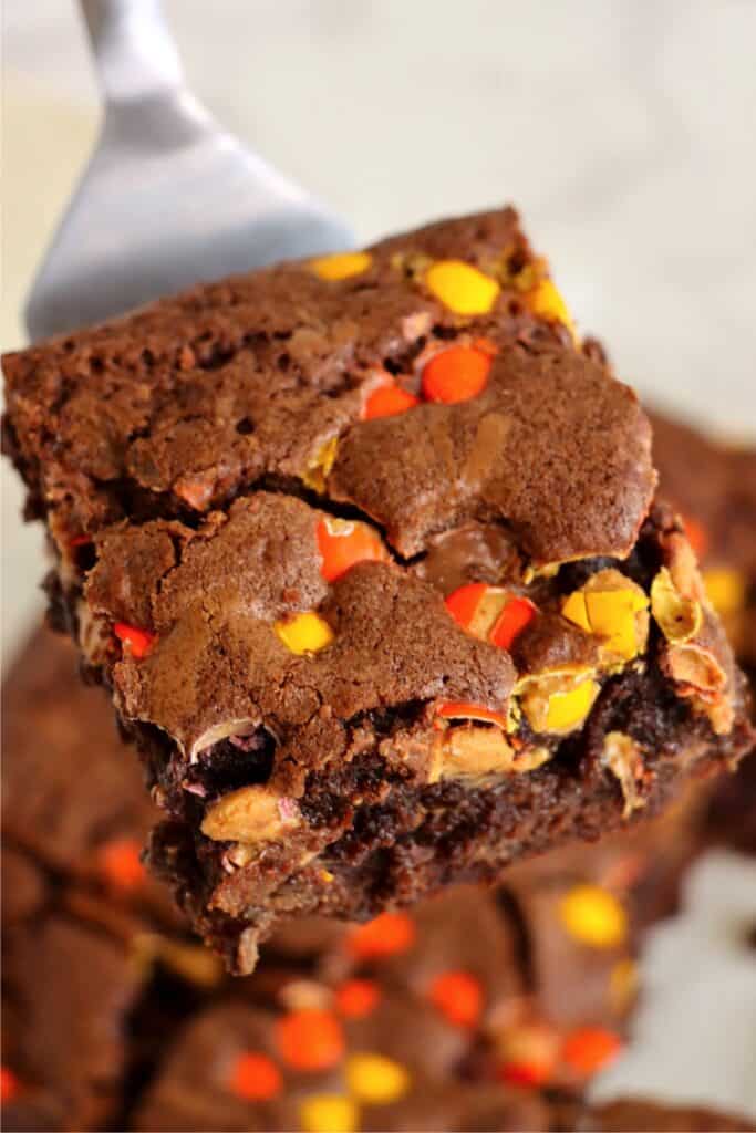 Closeup shot of Reese's brownie on spatula.